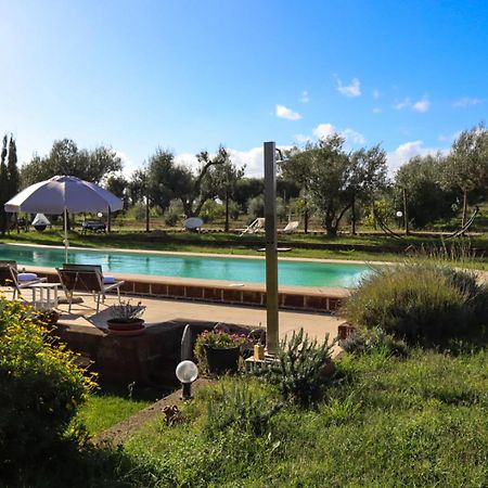 Podere Ficolivo ปีติญาโน ภายนอก รูปภาพ