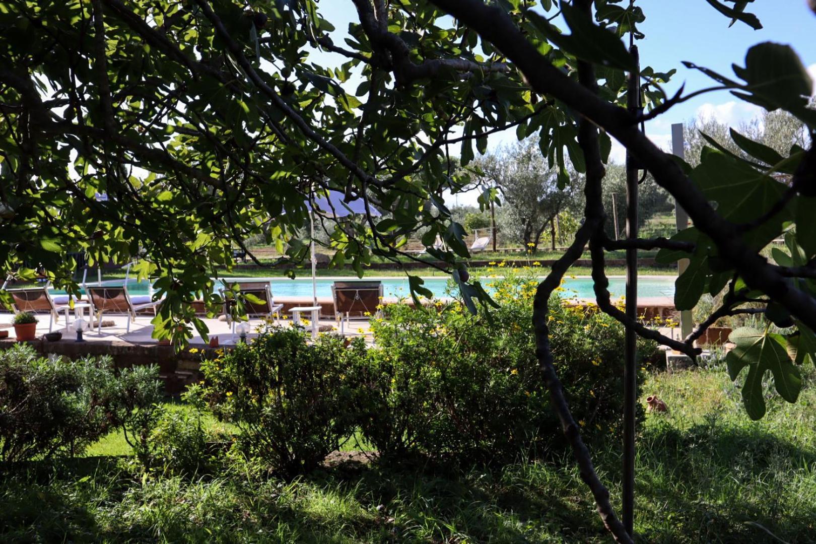Podere Ficolivo ปีติญาโน ภายนอก รูปภาพ