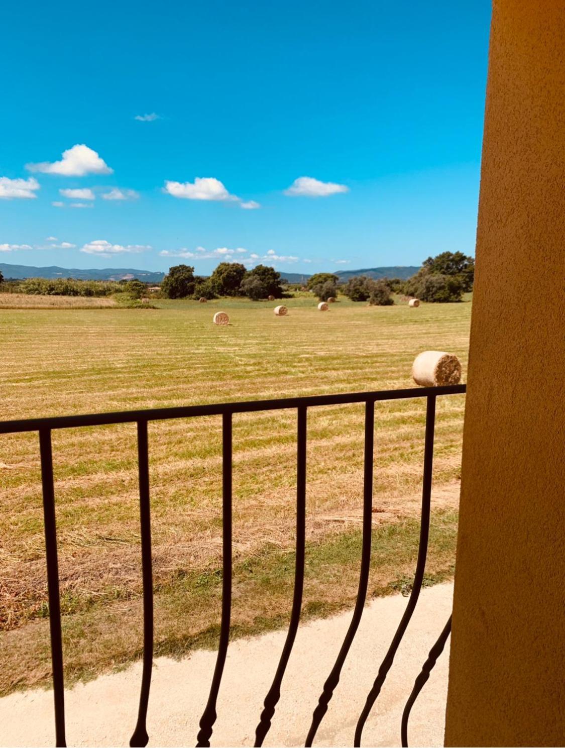 Podere Ficolivo ปีติญาโน ภายนอก รูปภาพ